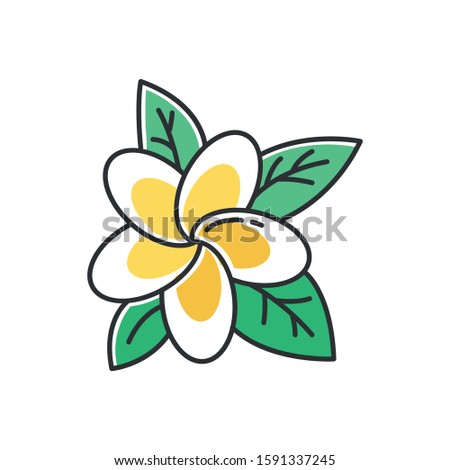 Plumeria yellow color icon. Exotic region flowers. Flora of Indonesian islands. Small tropical plants. Blossom of frangipani with leaves. Nature of Bali. Isolated vector illustration