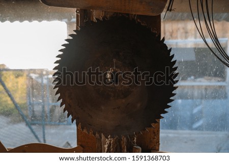 Close up photo of the circular saw blades for wood work hanging on the wall near the window, carpentry workshop