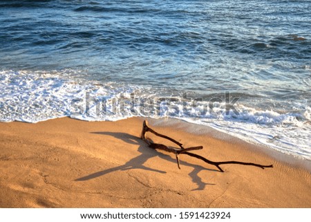 picture of a beach. a stick on the sand in front of the sea