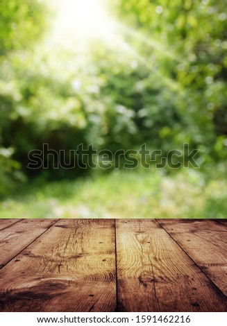 Empty wood table on blurred background copy space for montage your product or design,Blank brown board with abstract blurred background. Spring. blurred natural background. Wood background.
