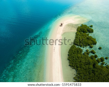 Snake Island, Palawan, Philippines - Aerial Photograph Royalty-Free Stock Photo #1591475833