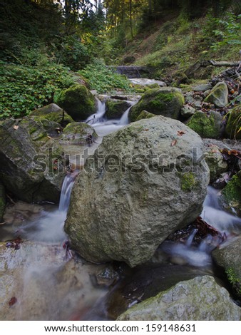 Flowing water in the autumnal forest