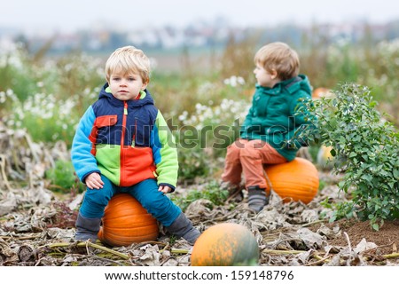 Two little siblings sitting on big pumpkin on cold autumn day.