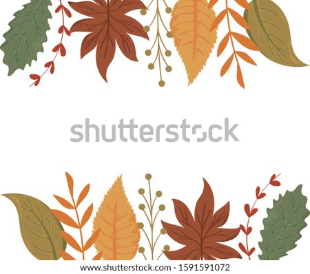Frame of autumn leaves design, season nature ornament garden decoration and botany theme Vector illustration