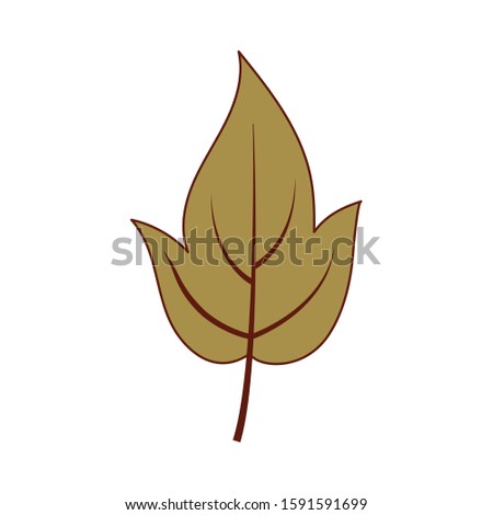Autumn leaf design, season nature ornament garden decoration and botany theme Vector illustration