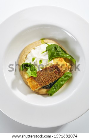 Beautiful restaurant plate of breaded fried halibut fillet with parsnip puree isolated. Exquisite seafood dish of grilled white fish meat or sole fish topview