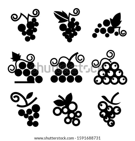 grape icon isolated sign symbol vector illustration - Collection of high quality black style vector icons
