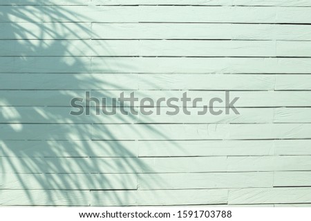 Tropical palm leaves shadows on white wall textured background. Summer trendy concept.