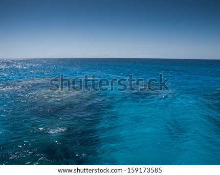 turquoise sea and coral under water