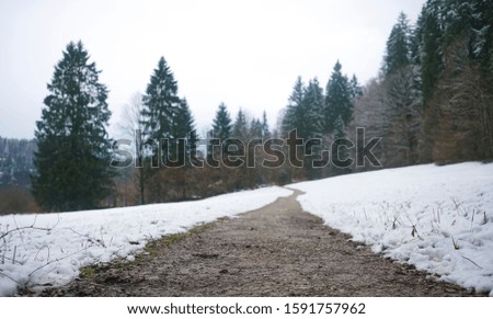 Snow covered winter mountain path with footprints in pine forest. Alpsee, Bavaria, Germany.