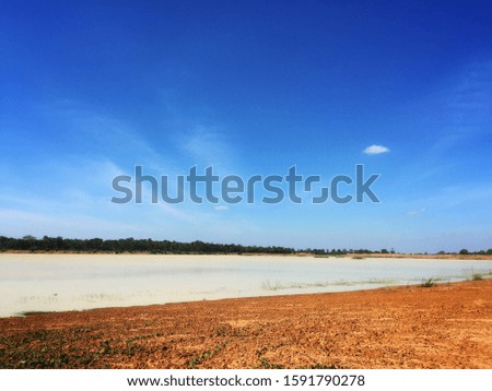 Natural scenery with grass, ground, water, trees sunlight and blue sky for abstract and background