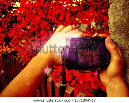 Modern camera with big lens takes photo of amazing autumn foliage.  Abstract filter.