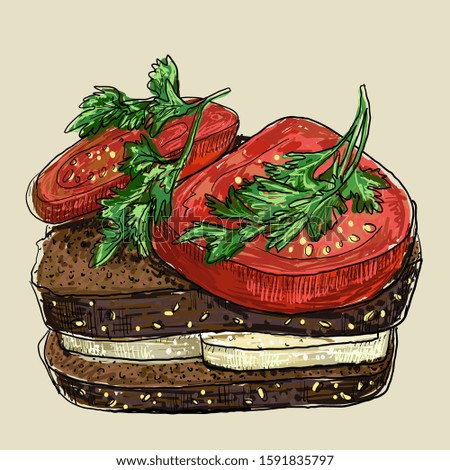 Vegan sandwich with tomato and tofu cheese on a rye bread, hand drawn graphic sketch illustration