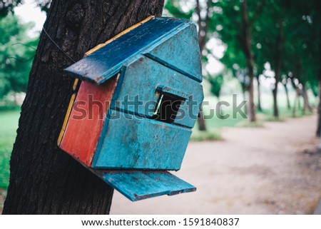 Squirrel's wooden house. squirrels on the tree, small wooden house on tree, tree house