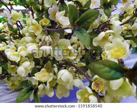 
close-up of artificial ornamental plants, beautiful bright flowers with green leaves