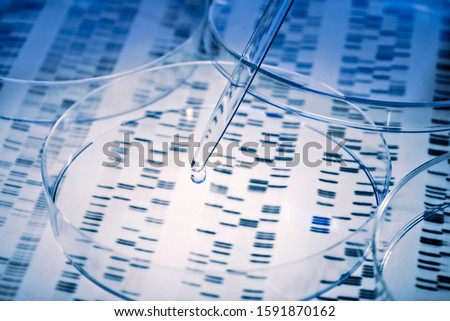 Sample is pipetted into a Petri dish over genetic results. Royalty-Free Stock Photo #1591870162