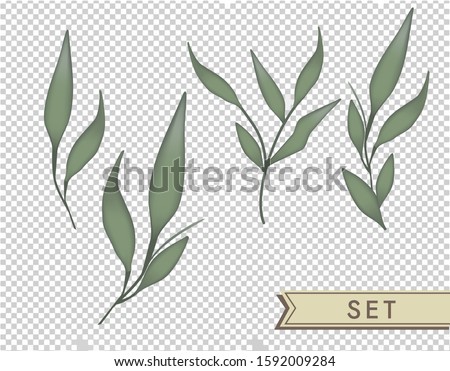 Plants isolated vector illustration. Clip art graphic design elements