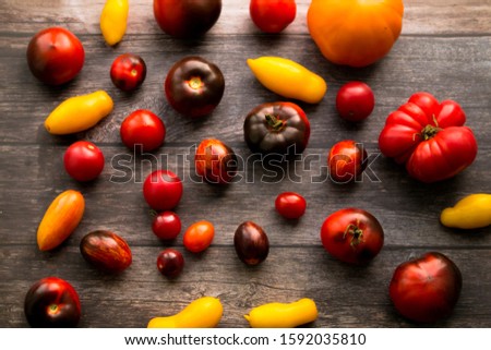 Multicolored tomatoes of different shapes, sizes and textures lie on a dark wooden background. Tomatoes are red, yellow, black, purple and orange. There are large fruits and there are cherry tomatoes.
