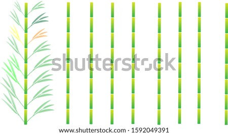 
Bamboo vector with white background