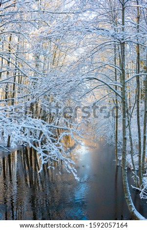 Frozen stream (canal) and trees with snow. Winter in scandinavia. Swedish landscape wallpaper. Nature photo.