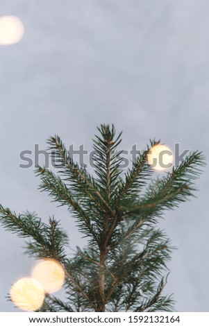 Top of the Christmas Tree Stock Image