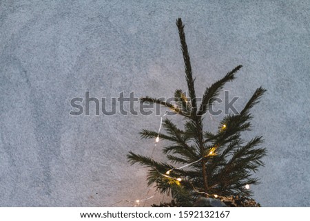 Top of the Christmas Tree Stock Image