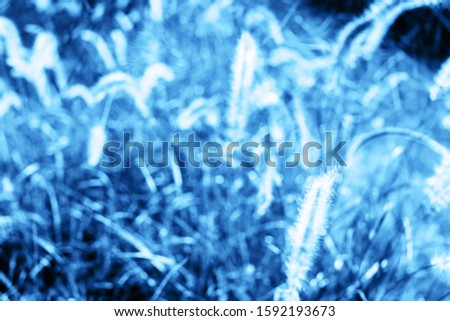Abstract natural geometrical symmetry background. Pattern from grass. Toned in blue trend color of the year 2020. Banner boho style