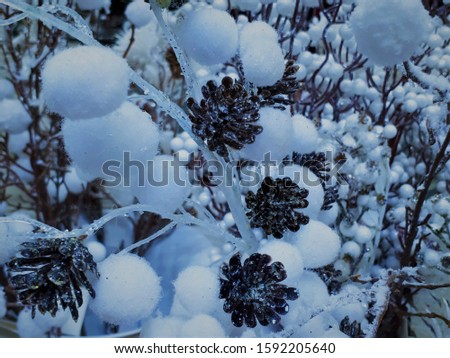  close-up of abstract decorative background of snowy tree branches with blur / bokeh effect