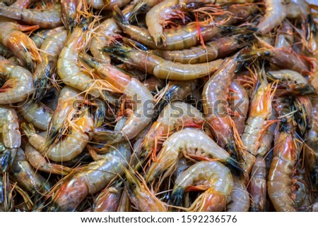 Close up fresh prawn, fresh shrimp seafood product on Market, Seoul, South Korea 