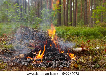 tourists built a fire in the woods