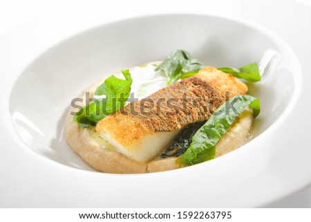 Beautiful restaurant plate of breaded fried halibut fillet with parsnip puree isolated. Exquisite seafood dish of grilled white fish meat or sole fish closeup
