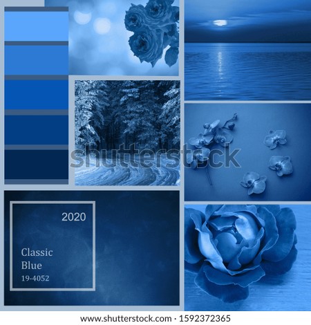 Collage with blue toned pictures . Color of the year 2020 Classic Blue.