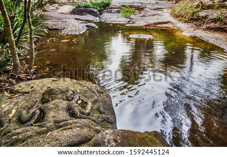 Siem Reap, Cambodia Kbal Spean This Cambodian riverbed is covered in ancient fertility symbols both above and below the waters. Valley of a 1000 Lingas or the River of a Thousand Lingas.