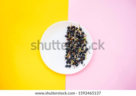 Fresh blackberries on clear white plate on pastel pink and yellow background.