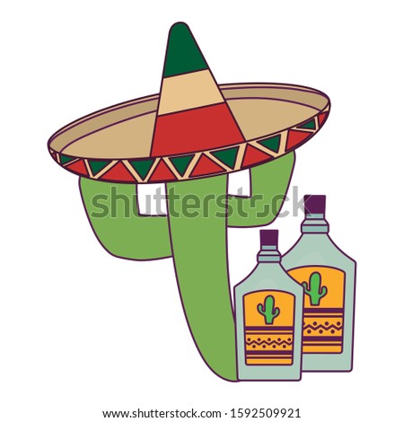 Mexican cactus and tequila design, Mexico culture tourism landmark latin and party theme Vector illustration