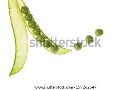  Home grown Sugar Snap Peas in seed  pod and green peas isolated on white background with shallow depth of field and point of focus on the pea outside of the pod.