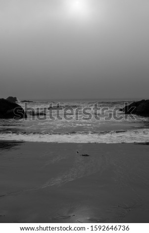 Waves rolling on beach over sand