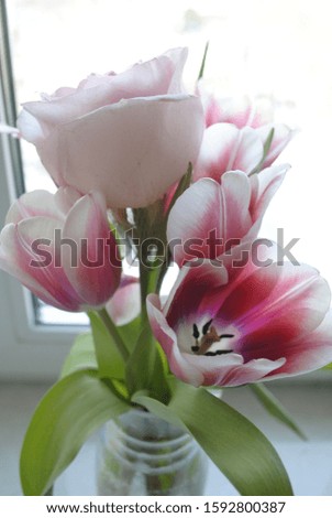 bouquet on the window pink Tulip and rose