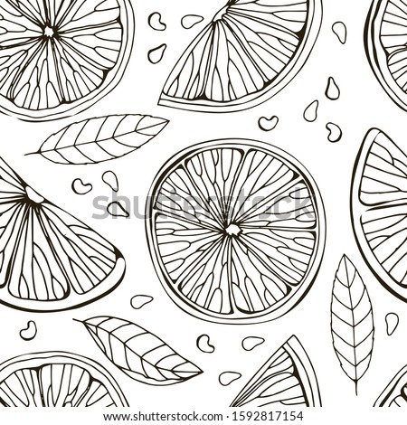 Seamless pattern of lemon, сitrus, lime. Isolated on white background. Tropical summer fruit. Detailed citrus drawing Great for tea, juice, natural cosmetics. Black and white sketch. Hand drawn