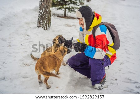 Young male snowboarder plays with puppies at a ski resort in winter