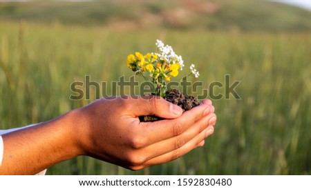 flowers planted in the ground in the palms of the girl