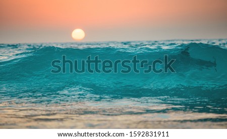Sunset ocean wave with shark in it, tropical surfing sea background