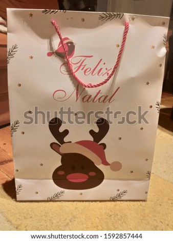 a christmas bag with a gift to offer