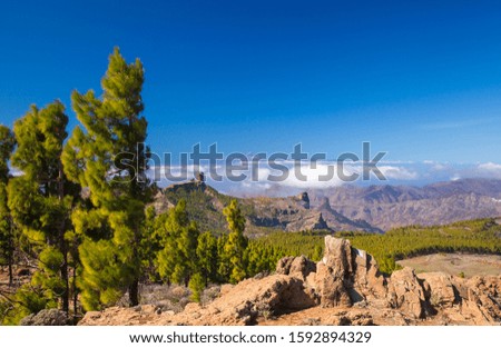 Gran Canaria, view from surroundings of the highest point of the island, Pico de las Nieves, towards Roque Nublo and Teide on Tenerife