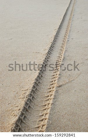 wheel tracks