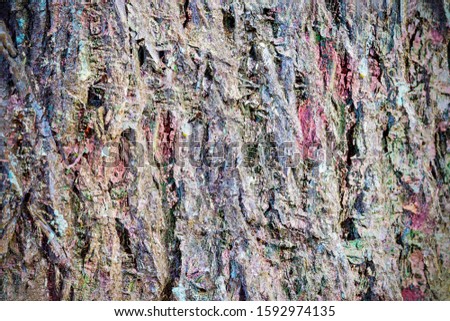 Detailed close up view on a weathered tree bark texture