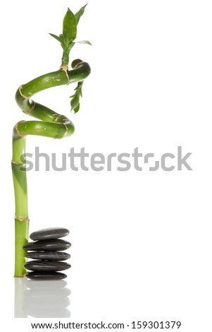 Stones and bamboo on white background with copy space