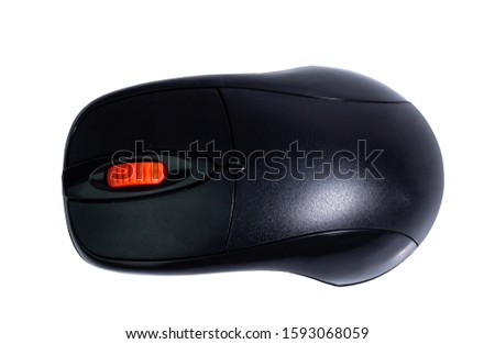 mouse computer isolated on white blackground