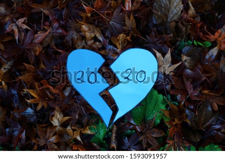 new year 2020 heart-shaped in autumn