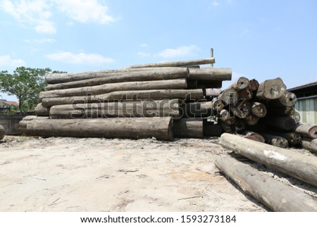 Logs of Bangkirai sawmill indonesia